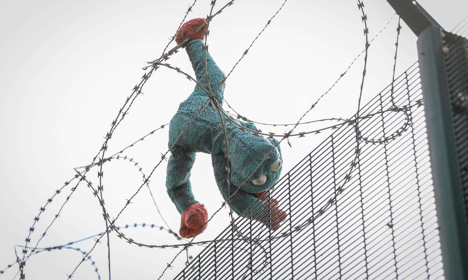 A stuffed animal caught in a barbed wire fence in Calais. 