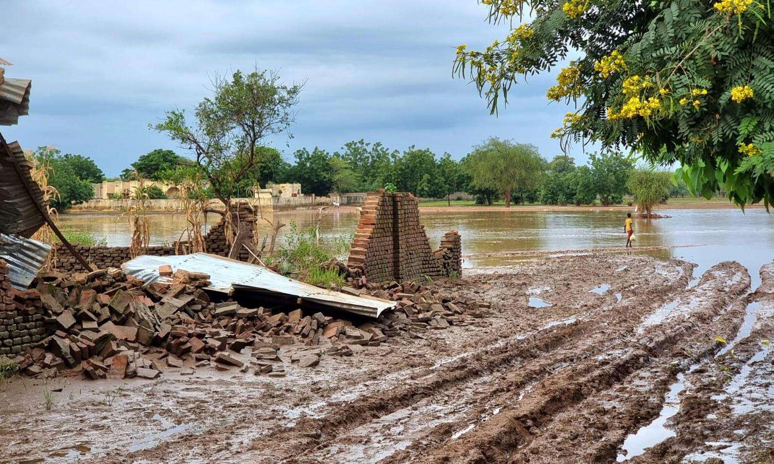 A child wades through a flood plain following heavy rains in Chad. 