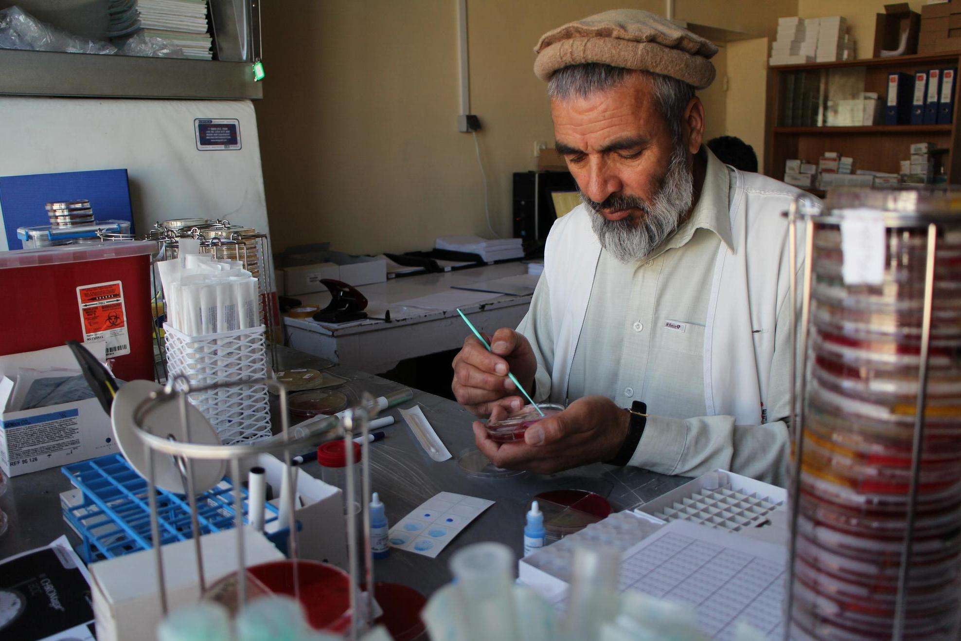 Dr Wardak Abdul Qayoum assists the expat microbiologist in supervising the team and carrying out isolation, identification and sensitivity testing of the 3000 bacterial strains expected. He uses a plastic loop to take a colony of bacteria from the culture plate.