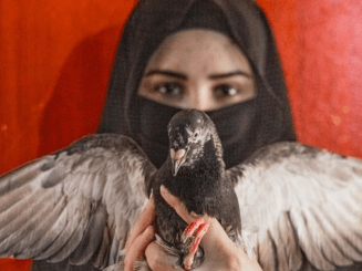 A Syrian girl holds a bird up against a red wall.