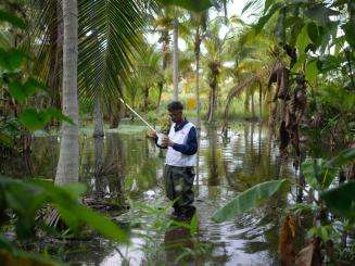 An MSF staff member wearing a white vest stands in the middle of floodwater surrounded by palm trees in Venezuela.