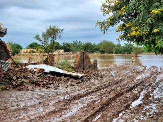 A child wades through a flood plain following heavy rains in Chad. 