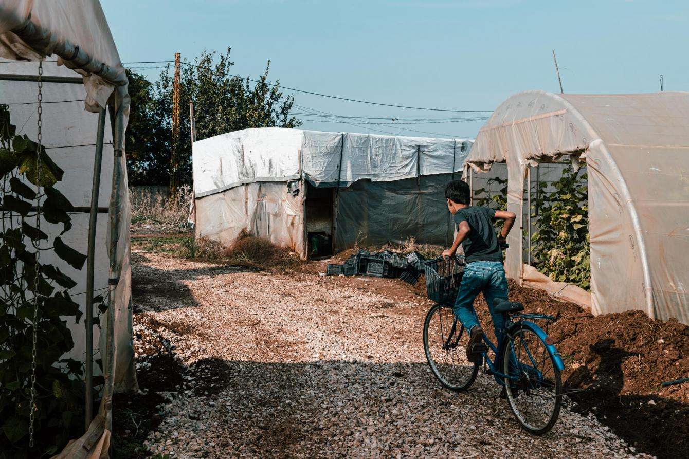 Agricultural labour in Akkar