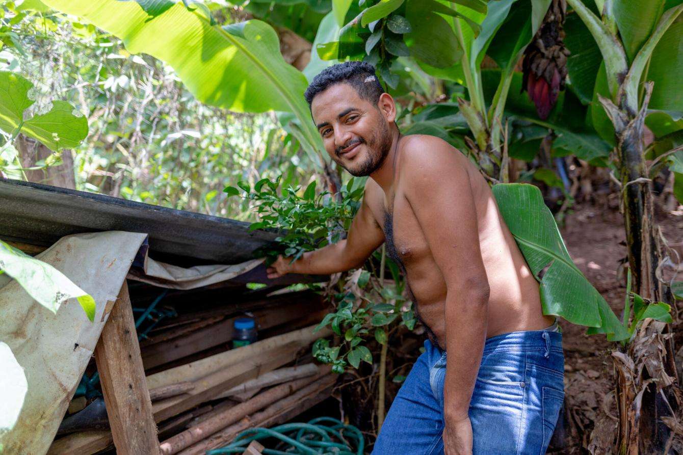 A man is standing in an outdoor tropical setting, smiling, pointing to an open wooden shed full of jars with mosquitos.