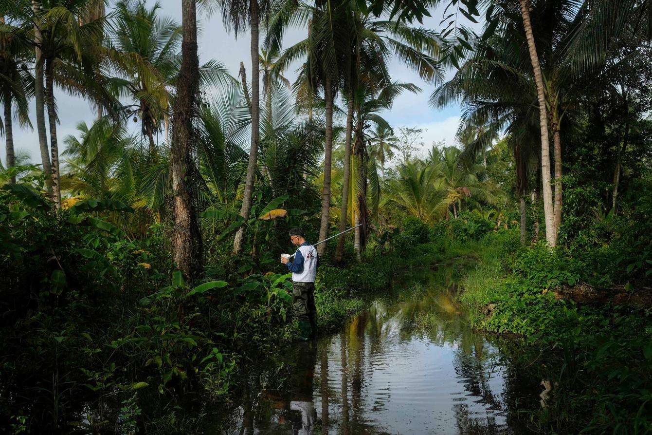 MSF biologist Melfran Herrera searches for mosquito larvae in a swamp in Sucre state, Venezuela.