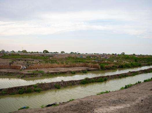 Flooded farmland in Bentiu, South Sudan.