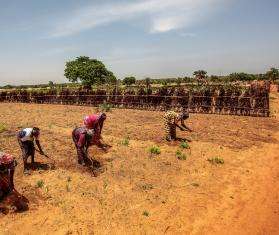 Farmers cultivate their land near the village of Riko in Katsina State amid a drought.