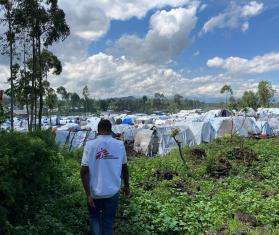 Camps of internally displaced people in and around Goma