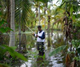 An MSF staff member wearing a white vest stands in the middle of floodwater surrounded by palm trees in Venezuela.